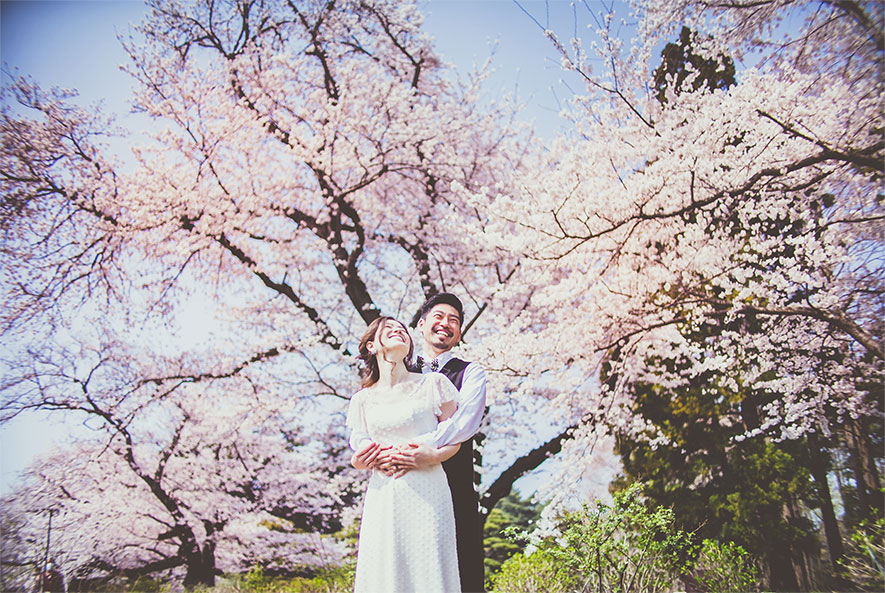 フォトウエディングのドレスプラン桜の木の下の二人